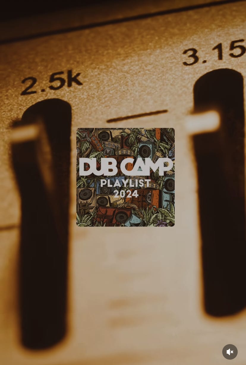 THE PLAYLIST 🎧 - Dub Camp Festival